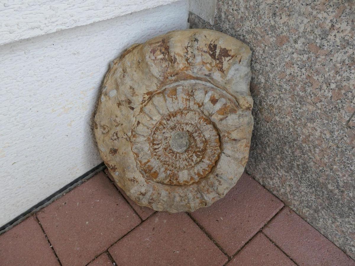 Ferienwohnung Schneckenhaus Ofterdingen Buitenkant foto